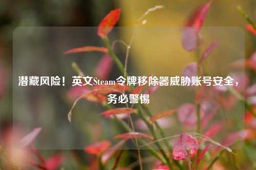 潜藏风险!英文Steam令牌移除器威胁账号安全,务必警惕