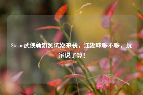 Steam武侠新游测试潮来袭,江湖味够不够,玩家说了算!