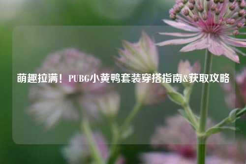 萌趣拉满！PUBG小黄鸭套装穿搭指南&获取攻略