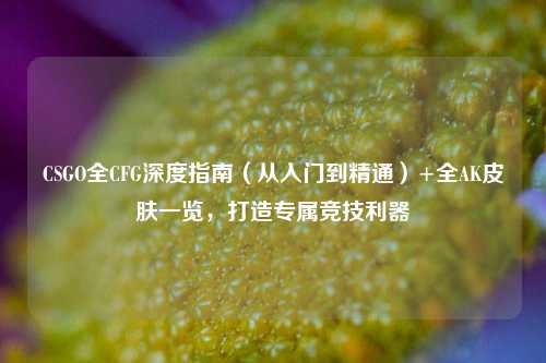 CSGO全CFG深度指南(从入门到精通)+全AK皮肤一览,打造专属竞技利器