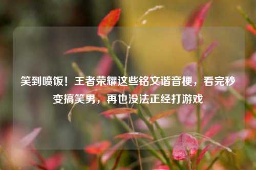 笑到喷饭!王者荣耀这些铭文谐音梗,看完秒变搞笑男,再也没法正经打游戏