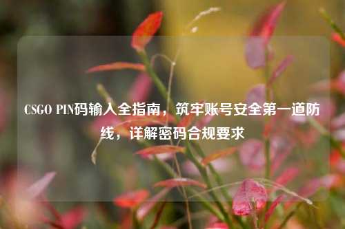 CSGO PIN码输入全指南，筑牢账号安全第一道防线，详解密码合规要求