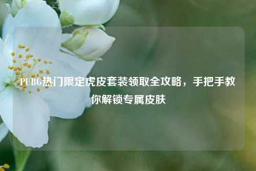 PUBG热门限定虎皮套装领取全攻略,手把手教你解锁专属皮肤