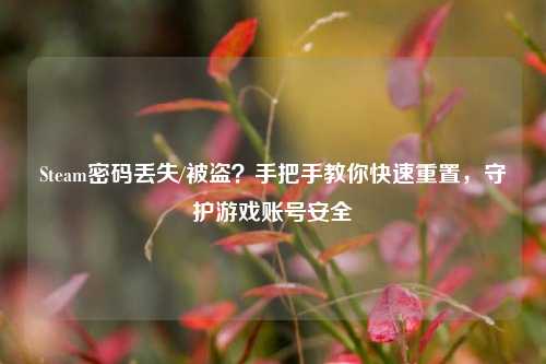 Steam密码丢失/被盗？手把手教你快速重置，守护游戏账号安全