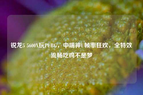 锐龙5 5600X玩PUBG，中端神U帧率狂欢，全特效流畅吃鸡不是梦
