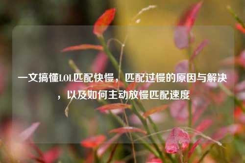 一文搞懂LOL匹配快慢,匹配过慢的原因与解决,以及如何主动放慢匹配速度
