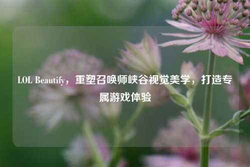 LOL Beautify,重塑召唤师峡谷视觉美学,打造专属游戏体验