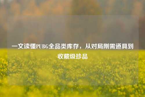 一文读懂PUBG全品类库存,从对局刚需道具到收藏级珍品