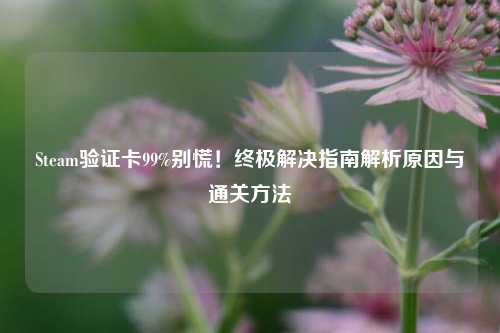 Steam验证卡99%别慌！终极解决指南解析原因与通关方法