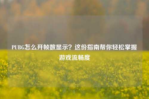 PUBG怎么开帧数显示?这份指南帮你轻松掌握游戏流畅度