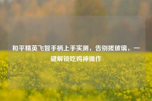 和平精英飞智手柄上手实测，告别搓玻璃，一键解锁吃鸡神操作