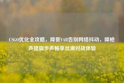 CSGO优化全攻略,降低VAR告别网络抖动,降枪声提脚步声畅享丝滑对战体验
