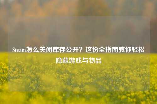 Steam怎么关闭库存公开?这份全指南教你轻松隐藏游戏与物品