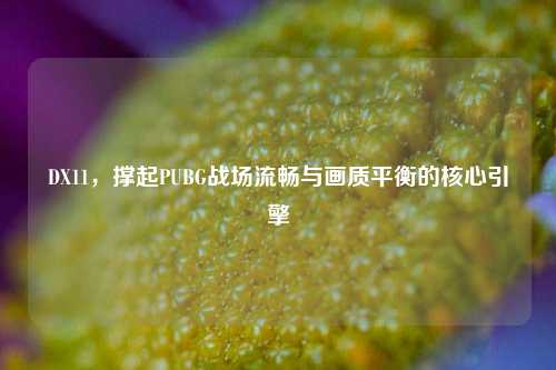 DX11，撑起PUBG战场流畅与画质平衡的核心引擎