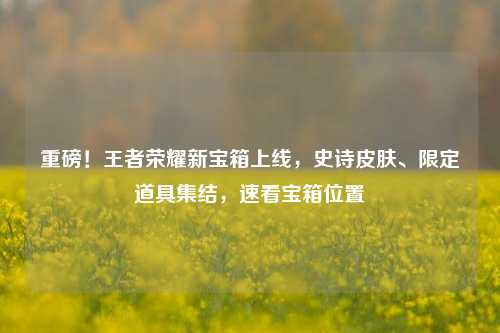 重磅!王者荣耀新宝箱上线,史诗皮肤、限定道具集结,速看宝箱位置