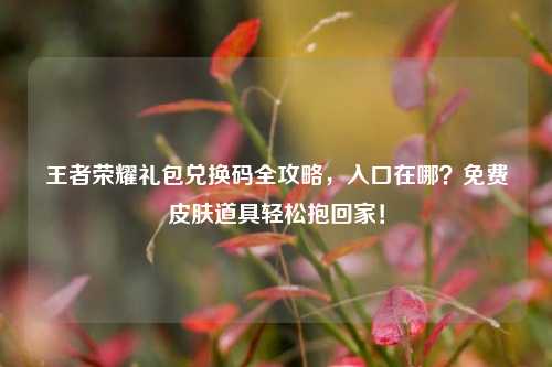 王者荣耀礼包兑换码全攻略,入口在哪?免费皮肤道具轻松抱回家!