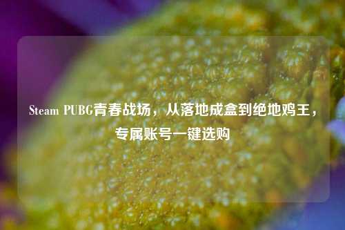 Steam PUBG青春战场,从落地成盒到绝地鸡王,专属账号一键选购
