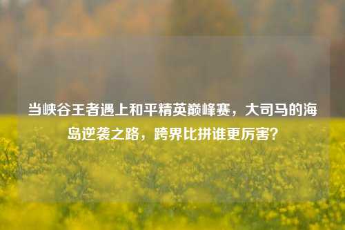 当峡谷王者遇上和平精英巅峰赛,大司马的海岛逆袭之路,跨界比拼谁更厉害?