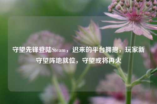 守望先锋登陆Steam,迟来的平台拥抱,玩家新守望阵地就位,守望或将再火