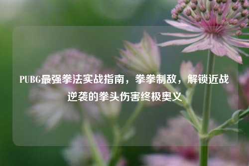 PUBG最强拳法实战指南,拳拳制敌,解锁近战逆袭的拳头伤害终极奥义