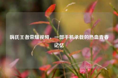 嗨氏王者荣耀视频，一部手机承载的热血青春记忆