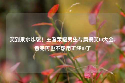 笑到泉水炸裂！王者荣耀男生专属搞笑ID大全，看完再也不想用正经ID了
