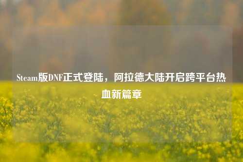 Steam版DNF正式登陆,阿拉德大陆开启跨平台热血新篇章