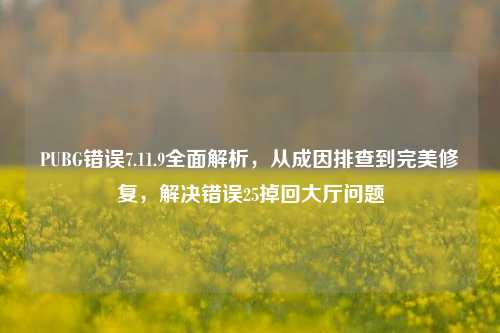 PUBG错误7.11.9全面解析,从成因排查到完美修复,解决错误25掉回大厅问题