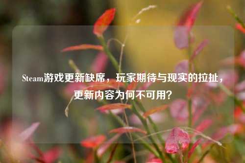 Steam游戏更新缺席,玩家期待与现实的拉扯,更新内容为何不可用?