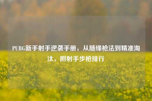 PUBG新手射手逆袭手册,从随缘枪法到精准淘汰,附射手步枪排行