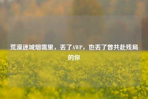 荒漠迷城烟霭里，丢了AWP，也丢了曾共赴残局的你