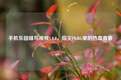 手机乐园蜂鸟视频1.0.0,指尖PUBG里的热血青春