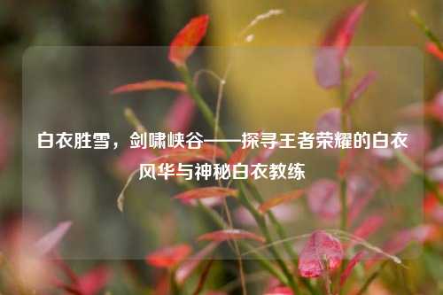 白衣胜雪,剑啸峡谷——探寻王者荣耀的白衣风华与神秘白衣教练