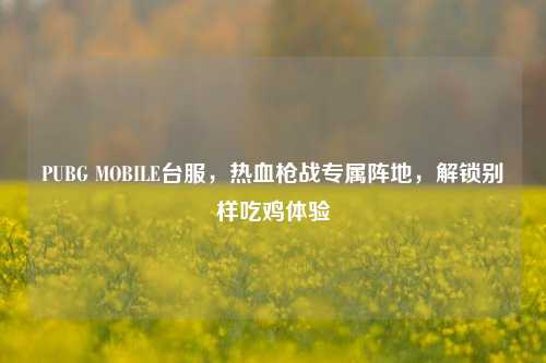 PUBG MOBILE台服,热血枪战专属阵地,解锁别样吃鸡体验