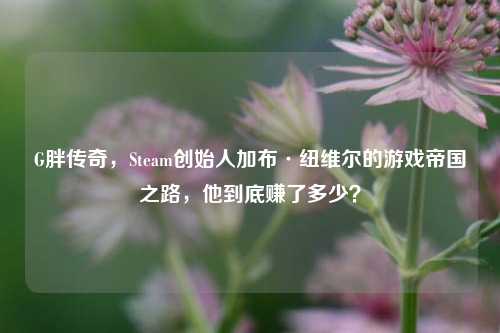 G胖传奇，Steam创始人加布·纽维尔的游戏帝国之路，他到底赚了多少？