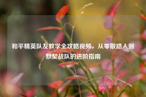 和平精英队友教学全攻略视频,从零散路人到默契战队的进阶指南
