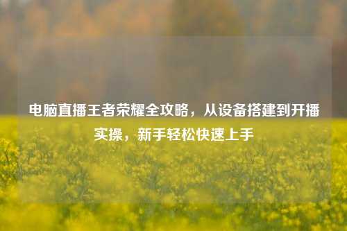 电脑直播王者荣耀全攻略,从设备搭建到开播实操,新手轻松快速上手