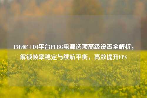 13490F+D4平台PUBG电源选项高级设置全解析,解锁帧率稳定与续航平衡,高效提升FPS