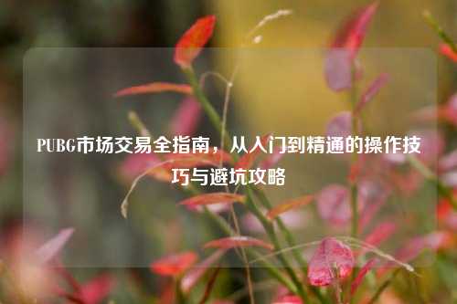 PUBG市场交易全指南,从入门到精通的操作技巧与避坑攻略