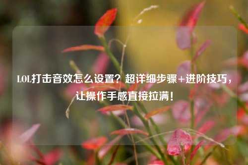 LOL打击音效怎么设置？超详细步骤+进阶技巧，让操作手感直接拉满！