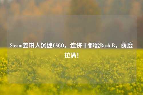 Steam姜饼人沉迷CSGO,连饼干都爱Rush B,萌度拉满!