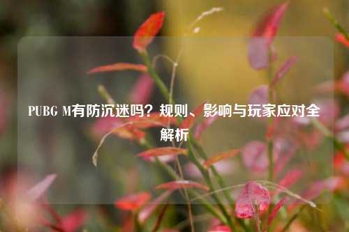 PUBG M有防沉迷吗?规则、影响与玩家应对全解析