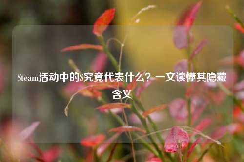 Steam活动中的S究竟代表什么?一文读懂其隐藏含义