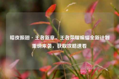 暗夜振翅·王者新章,王者荣耀蝙蝠全新计划重磅来袭,获取攻略速看