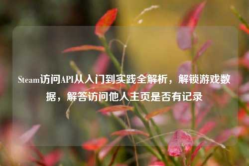 Steam访问API从入门到实践全解析,解锁游戏数据,解答访问他人主页是否有记录
