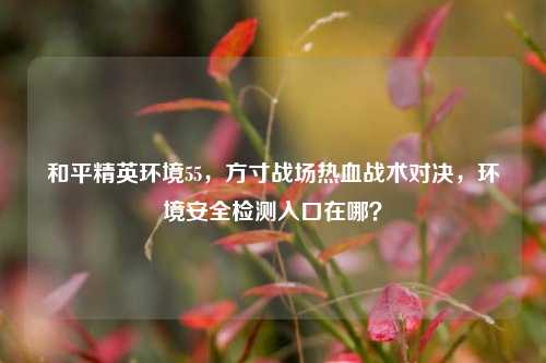 和平精英环境55,方寸战场热血战术对决,环境安全检测入口在哪?