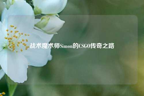 战术魔术师Simon的CSGO传奇之路