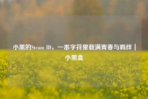 小黑的Steam ID，一串字符里载满青春与羁绊｜小黑盒