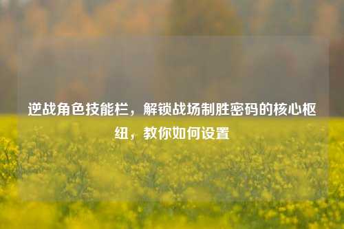 逆战角色技能栏,解锁战场制胜密码的核心枢纽,教你如何设置