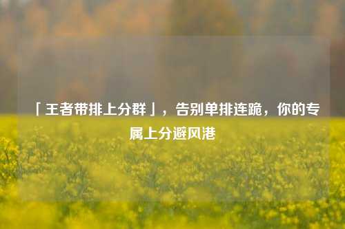 「王者带排上分群」,告别单排连跪,你的专属上分避风港